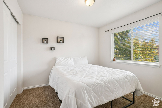 Photo 23 for MLS #2117870 at 7071 S Kristilyn Ln