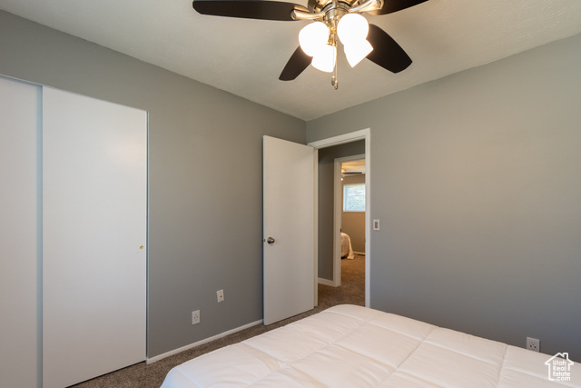 Photo 16 for MLS #2117873 at 1422 E Winterwood Cir