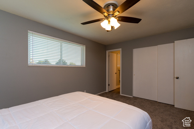 Photo 13 for MLS #2117873 at 1422 E Winterwood Cir