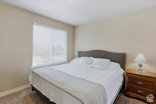 Photo 20 for MLS #2117893 at 10459 S Sage Wood Way
