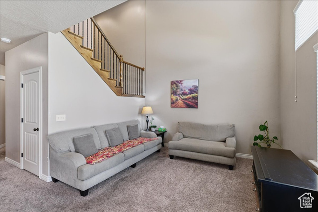 Photo 8 for MLS #2117893 at 10459 S Sage Wood Way
