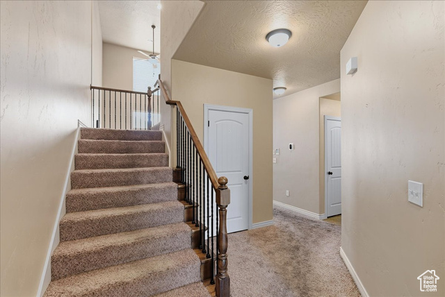 Photo 11 for MLS #2117893 at 10459 S Sage Wood Way