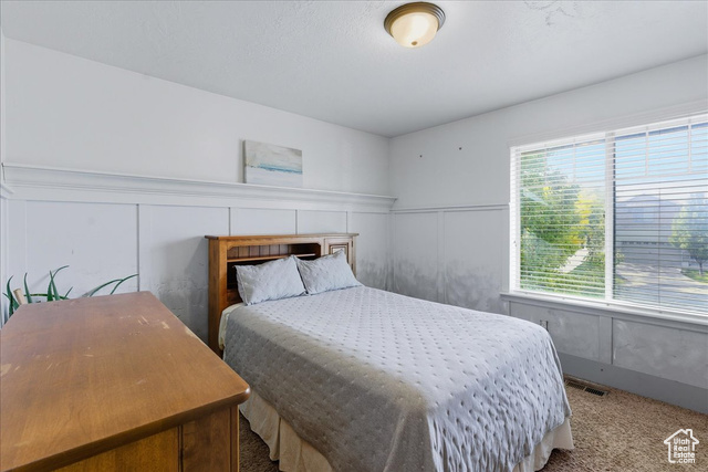 Photo 23 for MLS #2117893 at 10459 S Sage Wood Way