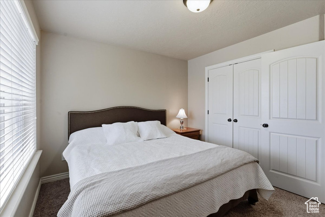 Photo 21 for MLS #2117893 at 10459 S Sage Wood Way