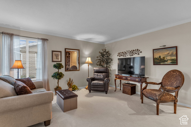 Photo 3 for MLS #2117927 at 10164 S Cornerstone Dr
