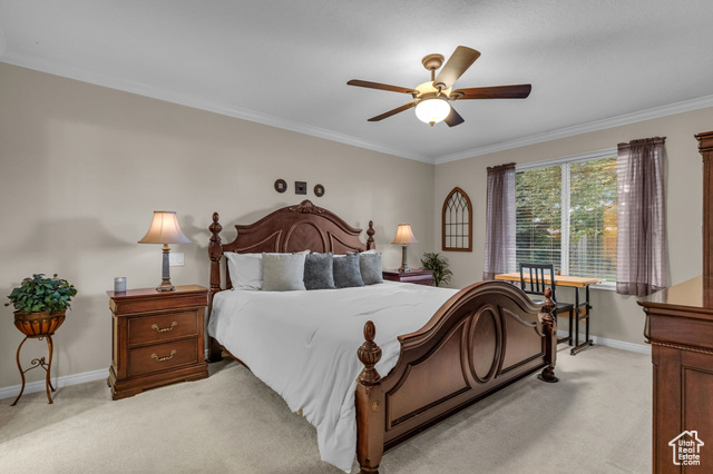 Photo 14 for MLS #2117927 at 10164 S Cornerstone Dr