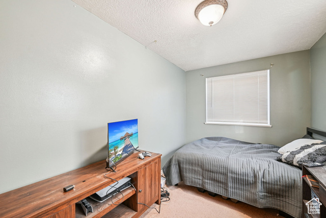 Photo 24 for MLS #2117942 at 10820 S 800 East