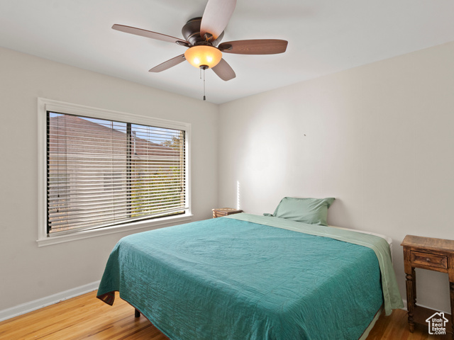 Photo 10 for MLS #2117960 at 1056 E Elgin Ave