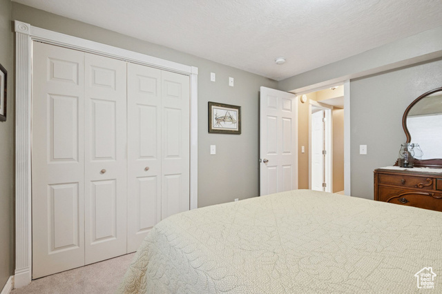 Photo 31 for MLS #2117979 at 9892 S Cascade Park Dr