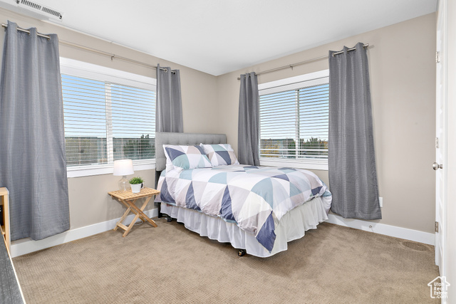 Photo 26 for MLS #2117990 at 13128 S Day Meadow Dr
