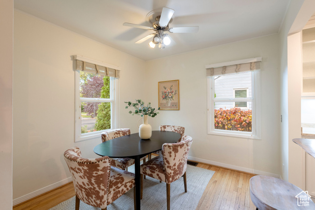 Photo 9 for MLS #2118017 at 356 E Williams Ave