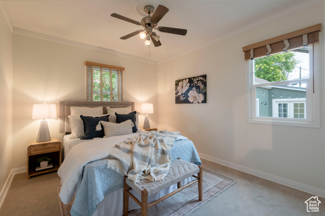 Photo 18 for MLS #2118017 at 356 E Williams Ave