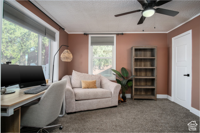 Photo 6 for MLS #2118019 at 557 S Angel St