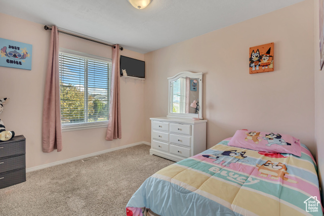 Photo 17 for MLS #2118064 at 4346 S Long Valley Dr