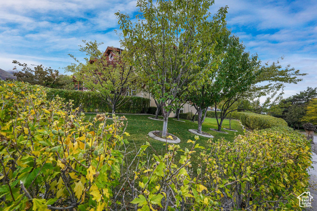 Photo 71 for MLS #2118070 at 8504 S Kings Hill Dr