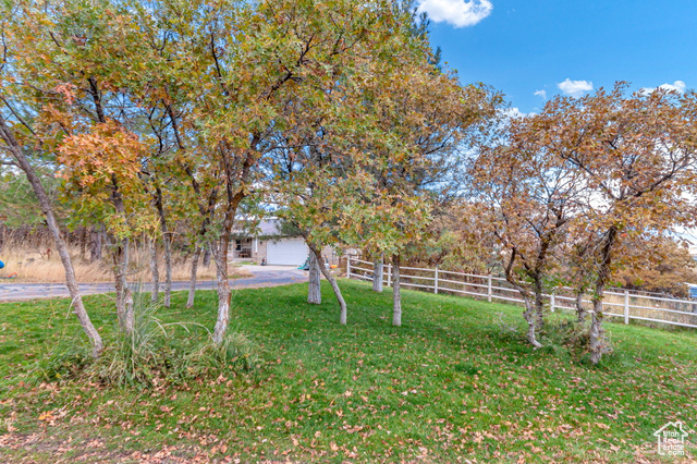 Photo 49 for MLS #2118076 at 195 S Oak Dr