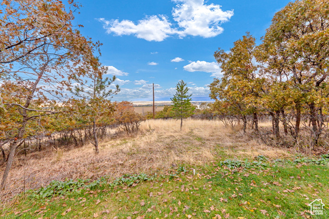 Photo 46 for MLS #2118076 at 195 S Oak Dr