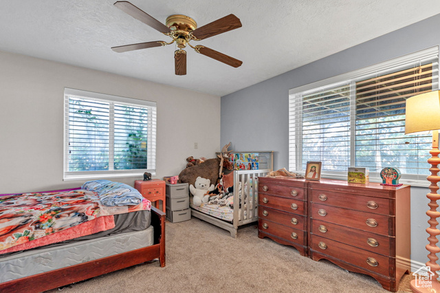 Photo 32 for MLS #2118076 at 195 S Oak Dr