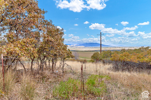 Photo 48 for MLS #2118076 at 195 S Oak Dr