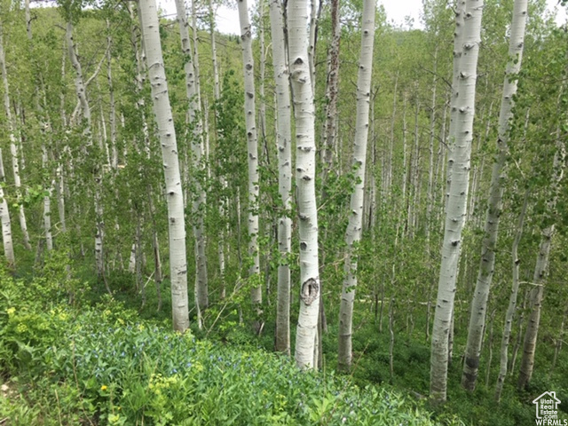 2183  ASPEN DR, Coalville UT 84017