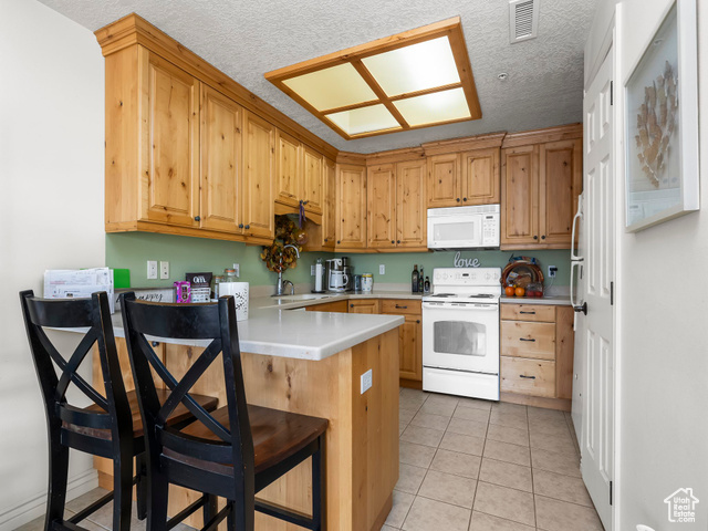 Photo 6 for MLS #2118167 at 11085 S Grape Arbor Pl #102