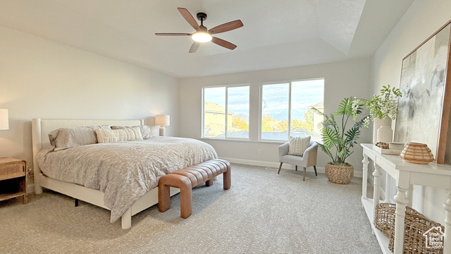 Photo 18 for MLS #2118173 at 7113 S Mantova Way