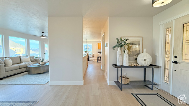 Photo 3 for MLS #2118173 at 7113 S Mantova Way