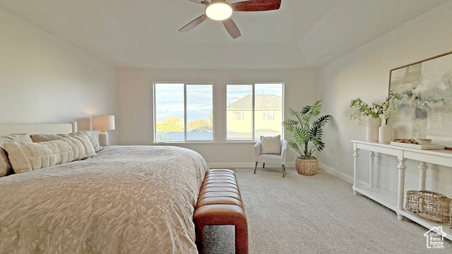 Photo 19 for MLS #2118173 at 7113 S Mantova Way
