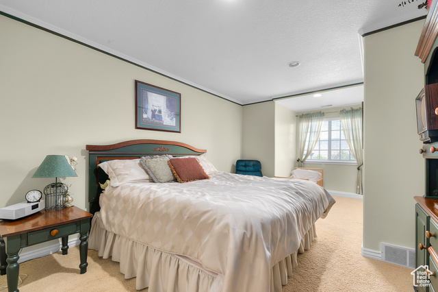 Photo 31 for MLS #2118179 at 775 Elk Meadow Loop