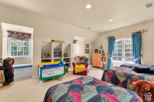 Photo 33 for MLS #2118179 at 775 Elk Meadow Loop