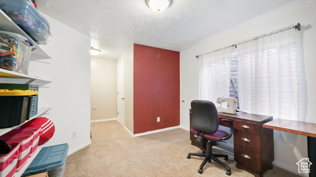 Photo 21 for MLS #2118193 at 694 E 260 South