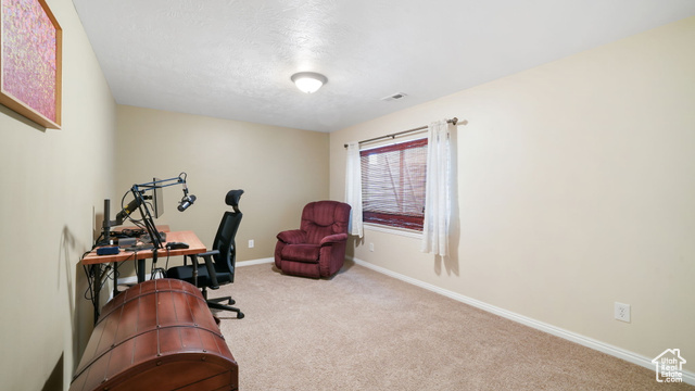 Photo 29 for MLS #2118193 at 694 E 260 South