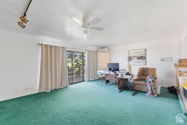 Photo 8 for MLS #2118201 at 299 Sage Cir