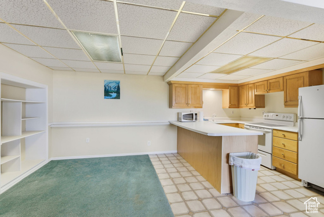 Photo 26 for MLS #2118201 at 299 Sage Cir