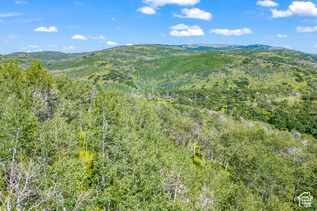 194  CANYON RIM RD, Oakley UT 84055