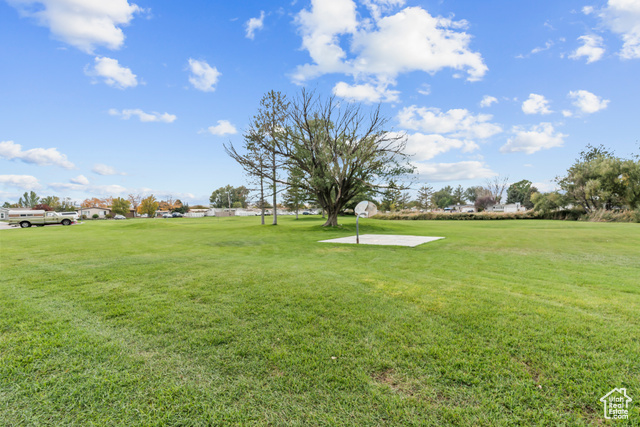 Photo 19 for MLS #2118208 at 2947 S Calypso St