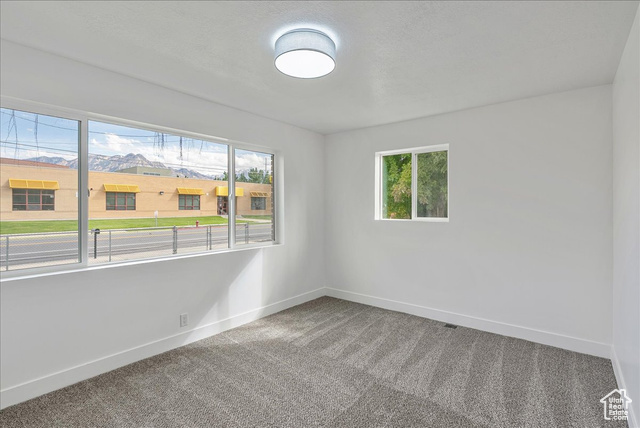 Photo 17 for MLS #2118224 at 3812 S 500 East