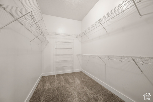 Photo 21 for MLS #2118275 at 10734 S Lake Terrace Ave