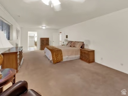 Photo 20 for MLS #2118296 at 4612 N Bristol Cir