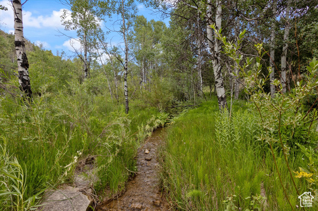 Photo 20 for MLS #2118326 at 19845 N 14070 (north Fork Rd) Rd #313