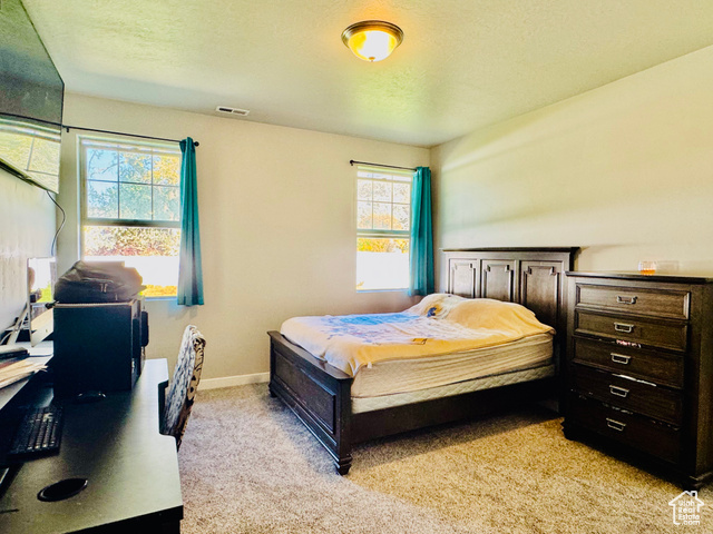 Photo 27 for MLS #2118415 at 954 N Wahlen Way