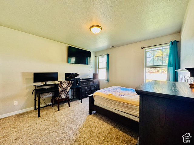 Photo 28 for MLS #2118415 at 954 N Wahlen Way