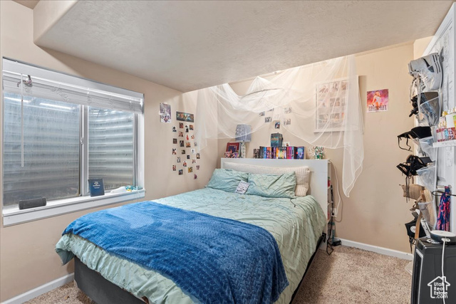 Photo 33 for MLS #2118457 at 3262 E Appaloosa Way