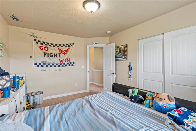 Photo 25 for MLS #2118457 at 3262 E Appaloosa Way