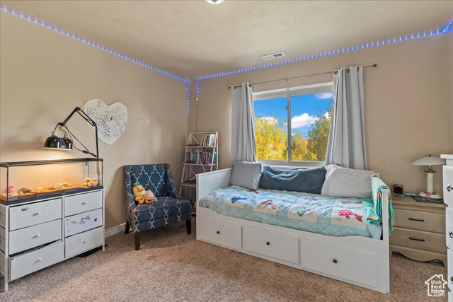 Photo 26 for MLS #2118457 at 3262 E Appaloosa Way