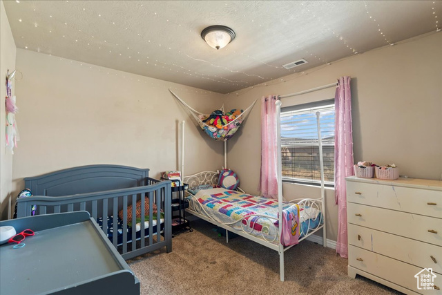Photo 20 for MLS #2118457 at 3262 E Appaloosa Way