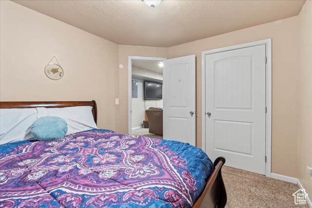 Photo 31 for MLS #2118457 at 3262 E Appaloosa Way