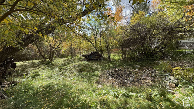 Photo 41 for MLS #2118482 at 3780 N Willow Brooke Ln