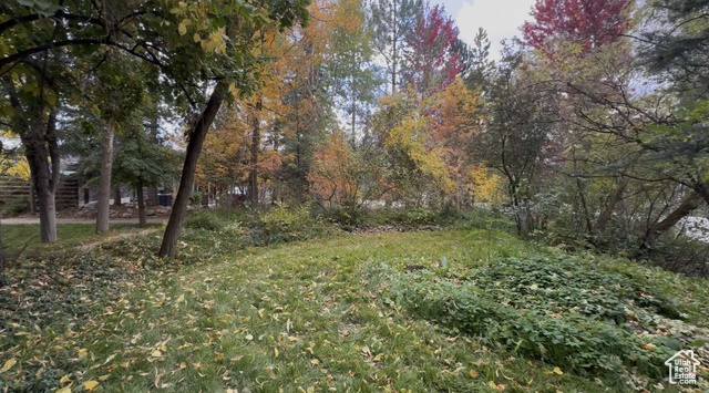 Photo 39 for MLS #2118482 at 3780 N Willow Brooke Ln