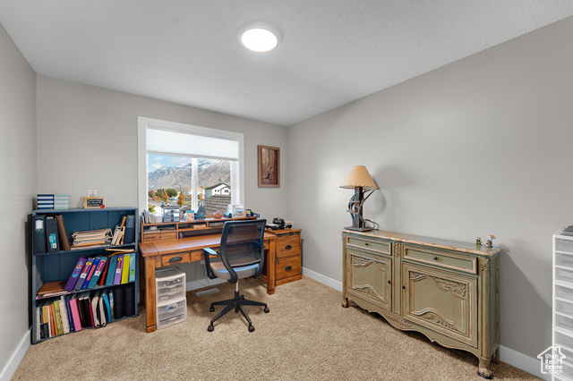 Photo 20 - 1107 W 1150 South, Springville UT 84663